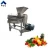 Import Industrial Fruit Vegetables Juice Extractor/Cold Pressed Apple Ginger Pineapple Juice Making Machine from China