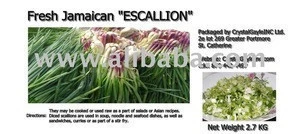 Jamaican Purple Escallion