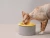 Import Korea Made Dog Cat Pet Bowl Utensil Ceramic Stone Bowl Pet feeder Stone feeder Ceramic Feeder 4 Colors from South Korea