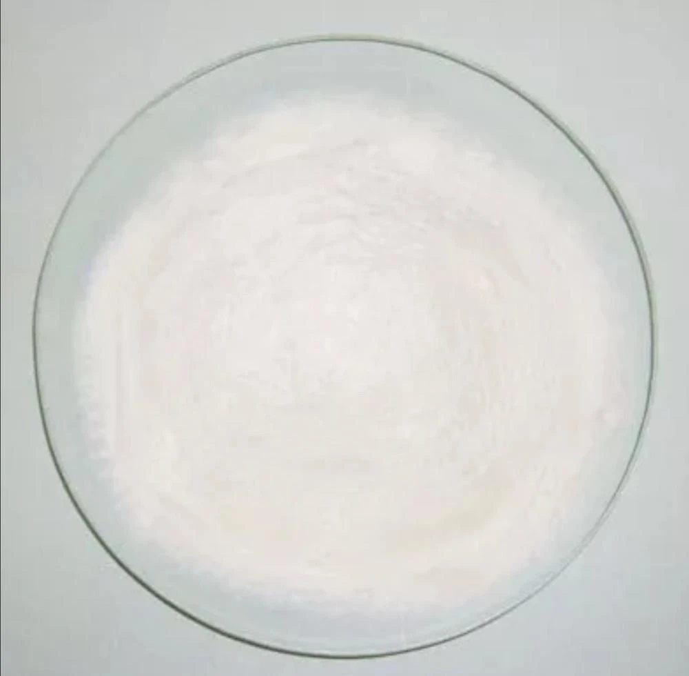 large available white powder chemical material Ester derivatives cas195000-66-9 alpha-Methacryloxy-gama-butyrolactone