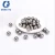 Import large hollow stainless steel gazing ball from China