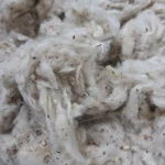 Lickerin /Card Fly Cotton Waste - Ms. Mira