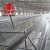 Import low cost poultry farm build chicken coop for broiler chicken in angola from China