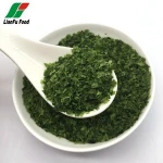 Manufacturer directly sale air dried seaweed kelp powder