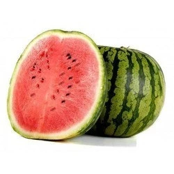 Melon / Fruits / good for gift / Water melon / Fresh melon