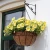 Import Metal Hanging Planter Basket with Coco Coir Liner Round Wire Plant Holder  for  Garden Decoration from China