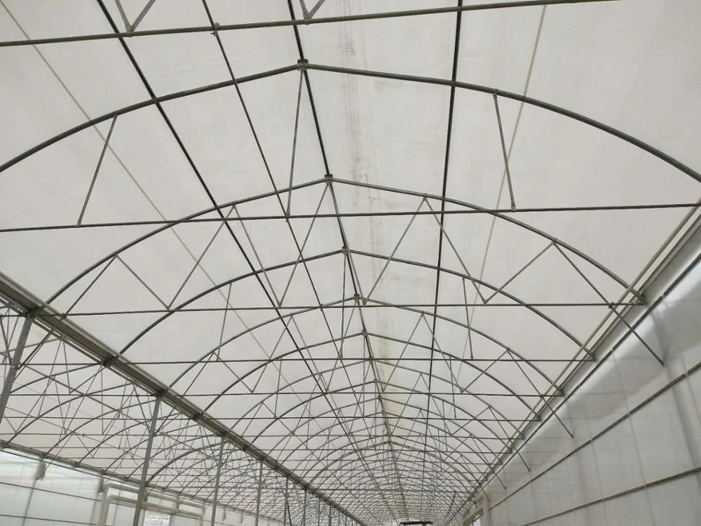 Modern Design Keeping Warm  Plastic Agricultural Greenhouse