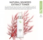 Multi-benefits Natural Seaweed Extract Toner With Best Oceanic Ingredients Manufactured In USA