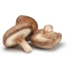 Mushrooms Truffles Shiitake Frozen Mushroom canned button mushroom