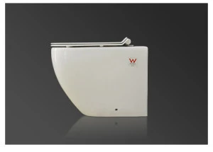 MWD Watermark sanitary for bathroom one-piece bidet toilet