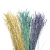 Import Natural Lavender Flowers For Room Wedding Décor, Aroma Diffuser Flowers, Dried Flowers from China