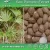 Import 100% natural saw palmetto seeds / Fruit extract powder from China