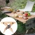 Import Naturehike Outdoor camping picnic portable solid wood folding Egg roll table glamping folding  furniture from China