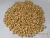 Import new crop 2018 650 count  pine nut kernels from China