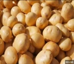 New Crop Fresh Potatoes Egypt Fresh Potatoes Top Grade High Nutrition Certified White and Red Potatoes Wholesale Supplier