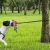 Import New Interactive Dog Bite Chew Ball Rubber On Rope Dog Chew Toy For Training from China