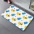 Import non asbestos diatomaceous mat most popular products 2021 foot bath mat water absorbent bath mat from China