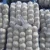 Import Optimum companies sell garlic fruit seeds to plant needing distributors from China