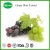Import organic 5%Resveratrol extract red grape skin extracts from China