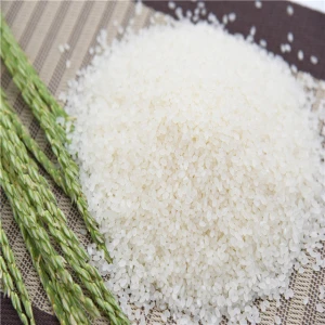 Organic long grain rice