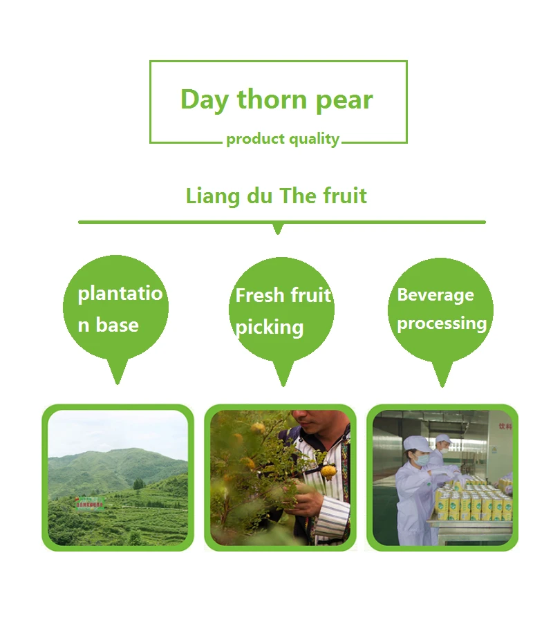 Original Tenthorn Pear 100% Fruit Juice With Carton