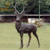 Outdoor Lifelike Garden Cast Deer Bronze Elk Deer Stag Sculpture