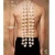 Import popular body health care stomach traditional Chinese medicine moxibustion from China