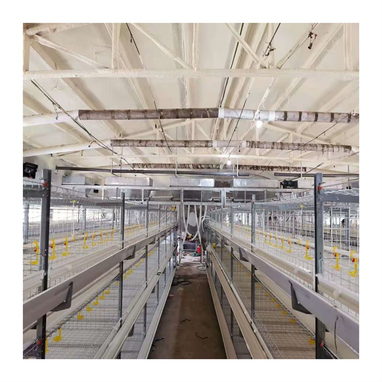 Buy Poultry Control Shed Automatic Chicken Layer Battery Cage For Egg ...