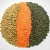 Import Premium Quality Best price export green red Lentils from France