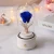 Import Preserved flower rose real flower music box wholesale Christmas Clear Glass Dome With LED from China
