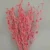Import Preserved flower Valentine&#39;s fruit household flower arrangement  flower material for Bouquet from China