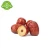Import Preserved Style And Long Shape Chinese Dried Red Dates For Sale from China