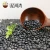 Import Price of black kidney bean with best quality 500-550pcs/100g from China