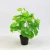 Import Price reduction creative artificial plant bonsai with pot for hotel decoration from China