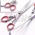 Import Professional barber stainless hairdressing hair scissor from Pakistan