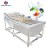 Professional fruits vegetable garlic processing clean equipment
