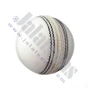 Professional Sports Training Made Cricket Balls