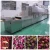 Import Professional Supplier Hemp Flowers  Belt dryer from China