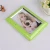 Import Promotion gift plastic PVC Photo Frame with customized color from China