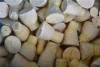 Promotional Top Quality White Whole Frozen Vegetables Bamboo Shoot