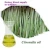 Import Pure &amp Essential 90% Purity of Natural Lemon Grass oil Lemongrass Oil / Lemon Grass from China