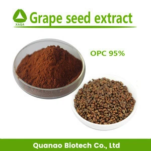 Pure natural Grape seed extract Proanthocyanidin / OPC 95% fruit extract