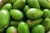Import Quality Cheap Fresh Avocados From South Africa from South Africa