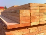 Quality Eucalyptus Core Veneer and Wood Chips