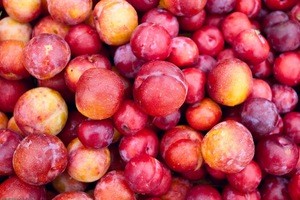 Quality Fresh plums