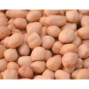 Quality Raw Peanuts Kernel / Raw Peanut in Shell / Roasted Blanched Peanuts