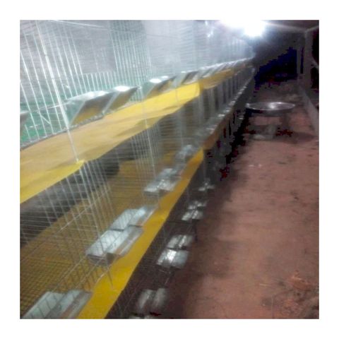 Buy Rabbit Farming 24 Cells Mother Commercial Rabbit Breeding Battery ...