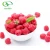 Import Raspberry Extract powder natural fruit and plant extract for organic beverage or foods from China