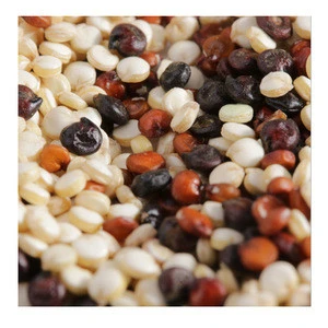Reasonable price quinoa protein private label quinoa