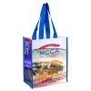 recycled lamination full color printed pp non woven shopping bag